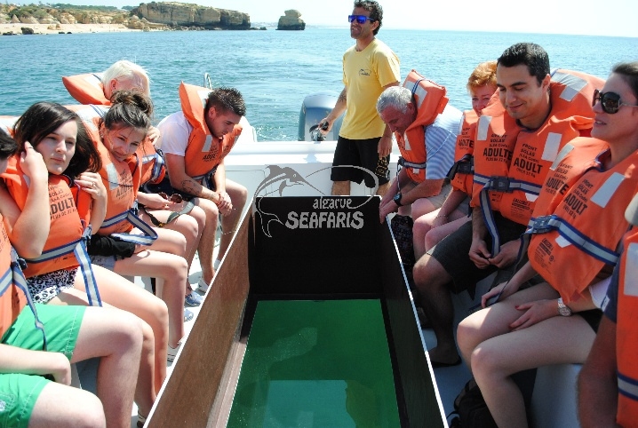 Glass Bottom Boat Experience - Best Boat Trips